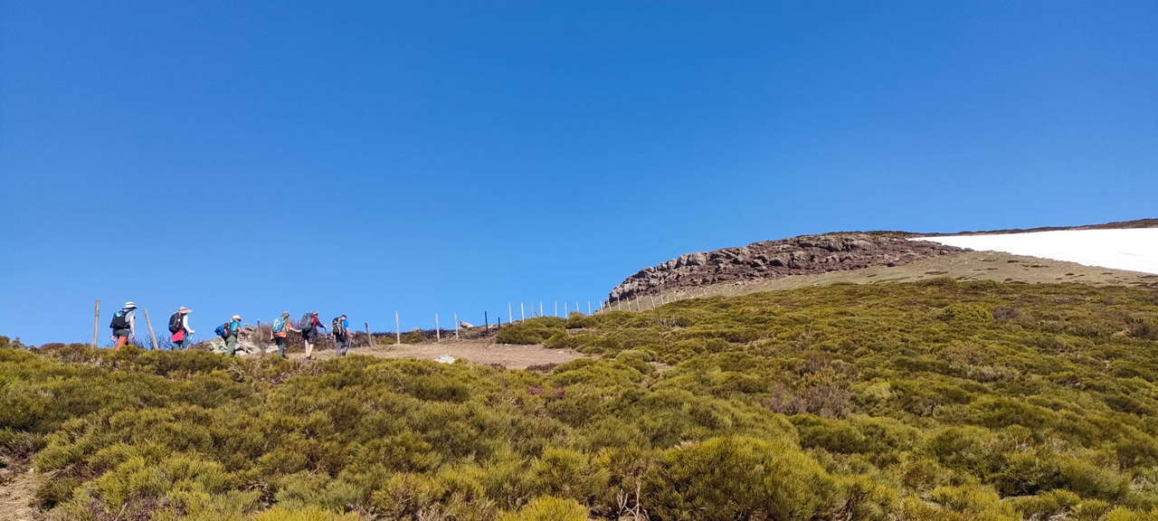 WhatsApp Image 2026-04-08 at 07.40.52 (2)